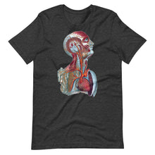 Load image into Gallery viewer, Temple