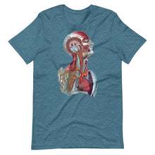 Load image into Gallery viewer, Temple