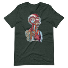 Load image into Gallery viewer, Temple