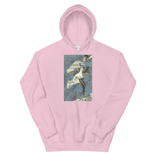 Load image into Gallery viewer, Shot down ~ Hoodie