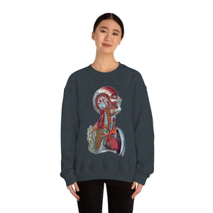 Temple ~ Sweatshirt